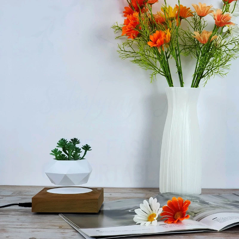 Магнітний левітаційний вазон для квітів HCNT Magnetic Levitating Pot M10-FP – Wood Grain. Фото 4 з 6