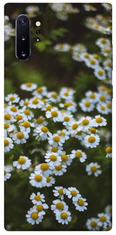 Чехол на Samsung Galaxy Note 10 Plus Ромашки v13 фото 1 из 1