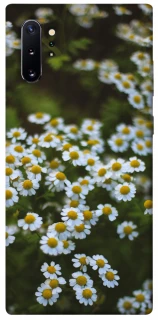 Чехол на Samsung Galaxy Note 10 Plus Ромашки v13 фото 1 из 1