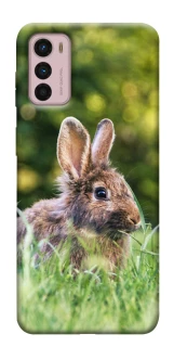 Чехол на Motorola Moto G42 Кролики фото 1 из 1