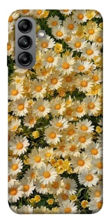 Чохол на Samsung Galaxy A04s Camomile фото 1 з 1