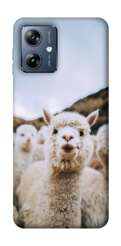 Чохол на Motorola Moto G54 Power Лама фото 1 з 1