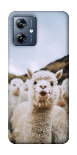 Чохол на Motorola Moto G54 Power Лама фото 1 з 1