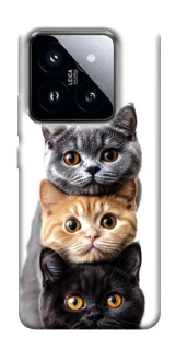 Чохол на Xiaomi 14 Pro Гарні котики фото 1 з 1