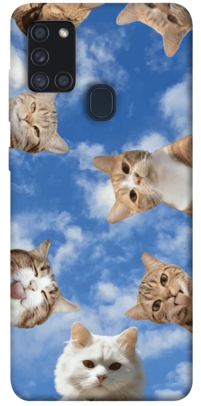 Чехол на Samsung Galaxy A21s Сats фото 1 из 1