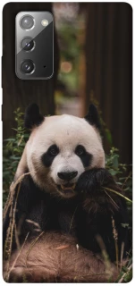 Чехол на Samsung Galaxy Note 20 Панда фото 1 из 1