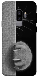 Чехол на Samsung Galaxy S9+ Spy Cat фото 1 из 1