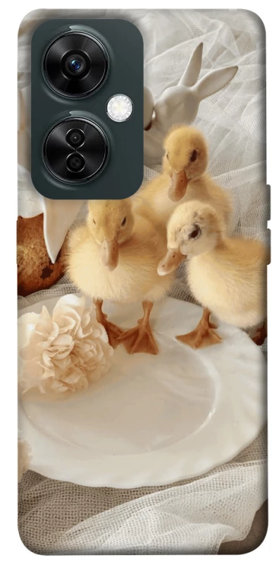 Чехол на OnePlus Nord CE 3 Lite Easter Vibes фото 1 из 1