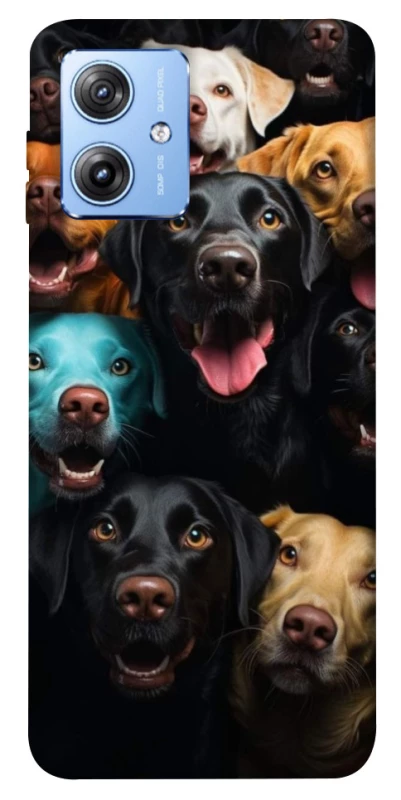 Чехол на Motorola Moto G84 Собаки фото 1 из 1