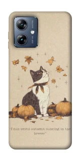 Чехол на Motorola Moto G54 Power Autumn vibes ver.3 фото 1 Чехол на Motorola Moto G54 Power Autumn vibes ver.3 фото 1 из 1