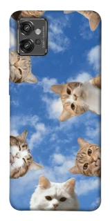 Чохол на Motorola Moto G32 Сats фото 1 з 1