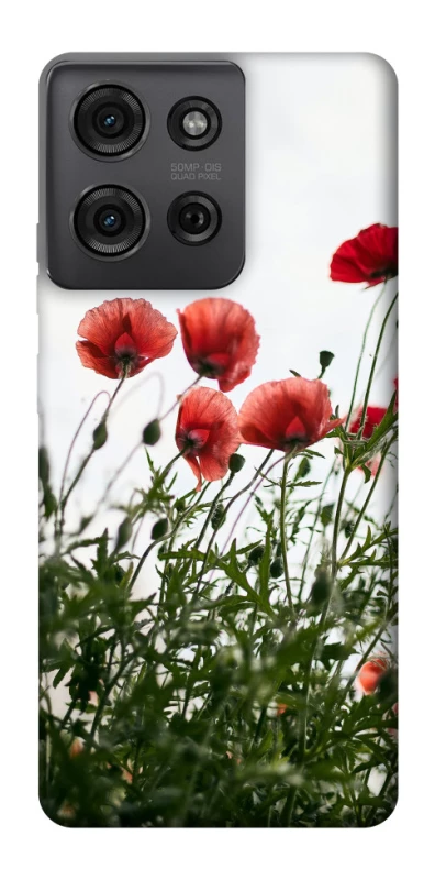 Чохол на Motorola Moto G75 Поле маків фото 1 з 1