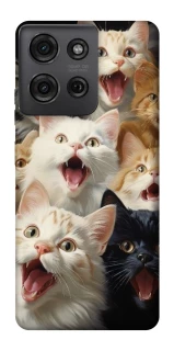 Чохол на Motorola Moto G75 Коти фото 1 з 1