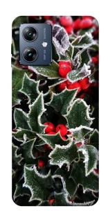 Чехол на Motorola Moto G54 Power Новогодний v32 фото 1 из 1