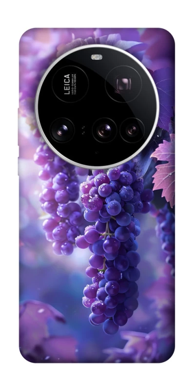 Чохол на Xiaomi 15 Ultra Bunch of grapes фото 1 з 1