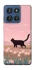 Чохол на Motorola Edge 60 Stylus cat on a field фото 1 з 1