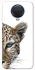 Чехол на Nokia G20 / G10 / 6.3 Leopard Art v2 фото 1 из 1