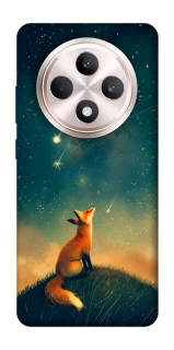 Чехол на Oppo Reno 12 F 4G/5G Sky fox фото 1 из 1