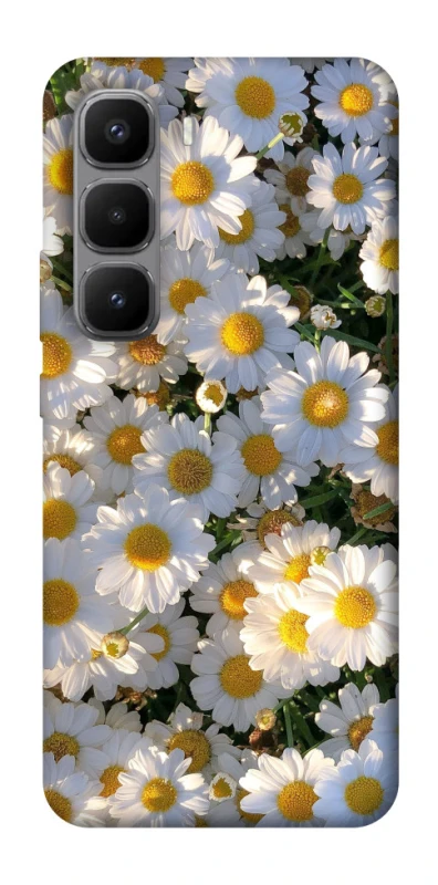 Чохол на Infinix Hot 60 Pro+ Поле ромашок фото 1 з 1