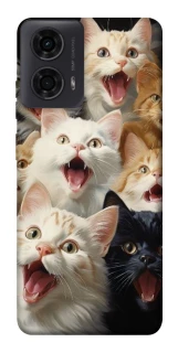 Чохол на Motorola Moto G24 Коти фото 1 з 1
