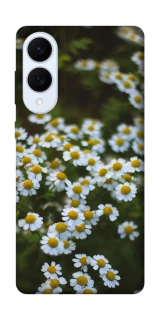 Чехол на Samsung Galaxy S25 Edge Ромашки v13 фото 1 из 1