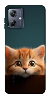 Чохол на Motorola Moto G54 Чохол Кошеня фото 1 Чохол на Motorola Moto G54 Чохол Кошеня фото 1 з 1