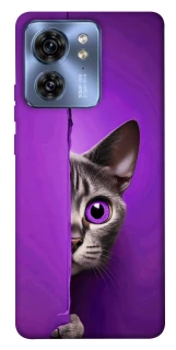 Чехол на Motorola Edge 40 Кот-подглядыватель фото 1 из 1