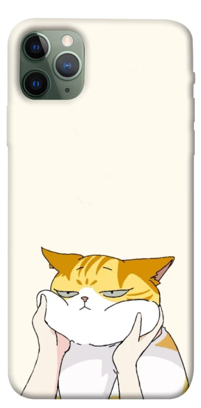 Чохол на Apple iPhone 11 Pro Max (6.5") Cat bun фото 1 з 1