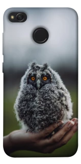 Чохол на Xiaomi Redmi 4X Совеня фото 1 з 1