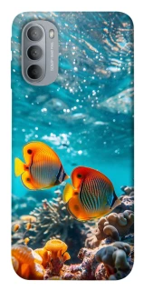 Чохол на Motorola Moto G31 Coral fish фото 1 з 1