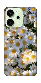 Чехол на Oppo Reno 14 Поле ромашек фото 1 из 1