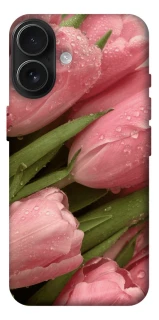 Чохол на Apple iPhone 17 (6.3") Beauty фото 1 Чохол на Apple iPhone 17 (6.3") Beauty фото 1 з 1