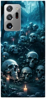 Чехол на Samsung Galaxy Note 20 Ultra Skulls v3 фото 1 из 1