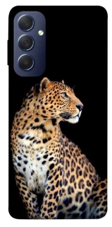 Чехол на Samsung Galaxy M54 5G Leopard v2 фото 1 из 1