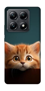 Чохол на Xiaomi 14T Pro Чохол Кошеня фото 1 з 1