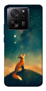 Чехол на Xiaomi 13T Sky fox фото 1 из 1