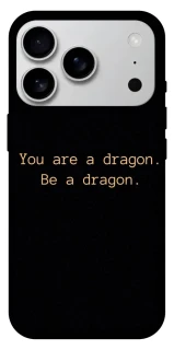Чехол на Apple iPhone 17 Pro Max (6.9") House of the Dragon ver.9 фото 1 из 1