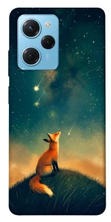 Чехол на Xiaomi Poco X5 Pro 5G Sky fox фото 1 из 1