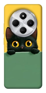 Чехол на Xiaomi Redmi 14C / Poco C75 Black cat v2 фото 1 из 1