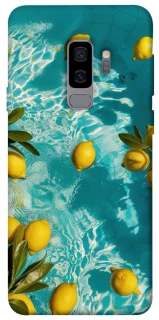 Чохол на Samsung Galaxy S9+ Lemon фото 1 з 1