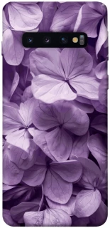 Чохол на Samsung Galaxy S10 Floral Symphony фото 1 з 1