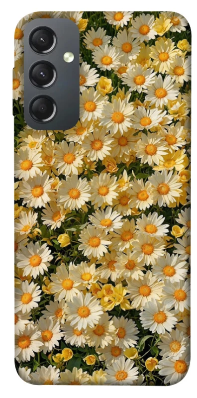 Чохол на Samsung Galaxy A24 4G Camomile фото 1 з 1