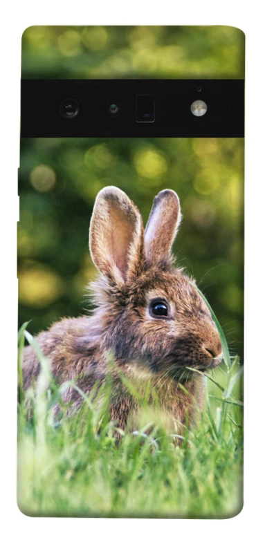 Чехол на Google Pixel 6 Pro Кролики фото 1 из 1