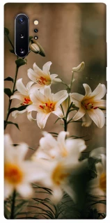 Чохол на Samsung Galaxy Note 10 Plus Лілії фото 1 з 1