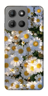 Чехол на Motorola Moto G15 Power Поле ромашек фото 1 из 1
