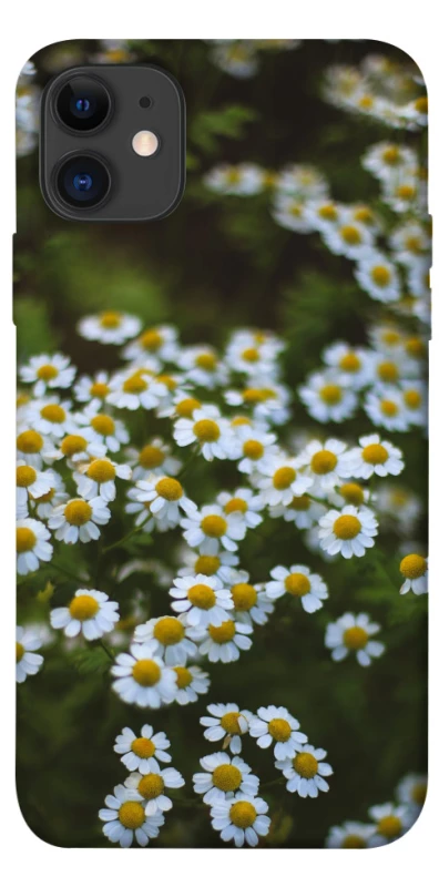 Чехол на Apple iPhone 11 (6.1") Ромашки v13 фото 1 из 1