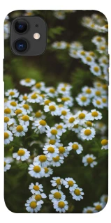 Чехол на Apple iPhone 11 (6.1") Ромашки v13 фото 1 из 1