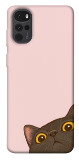 Чохол на Motorola Moto G22 Peeping cat фото 1 з 1