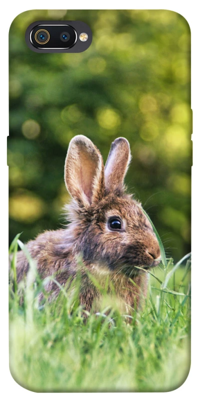Чохол на Realme C2 Кролики фото 1 з 1