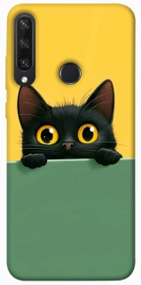 Чехол на Huawei Y6p Black cat v2 фото 1 из 1